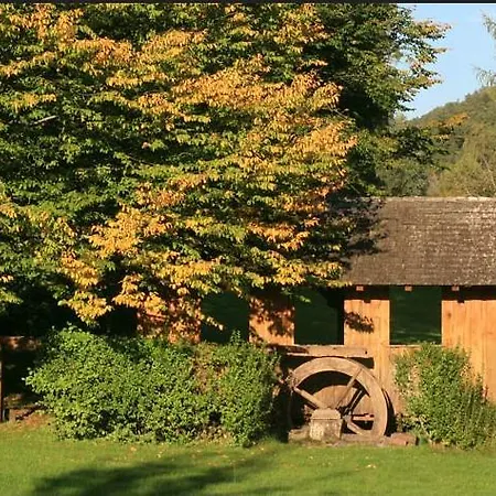Schwarzwaldhaus Am Kurpark