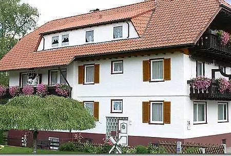 Gasthuis Schwarzwaldhaus Am Kurpark