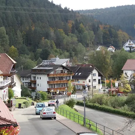 Schwarzwaldhaus Am Kurpark
